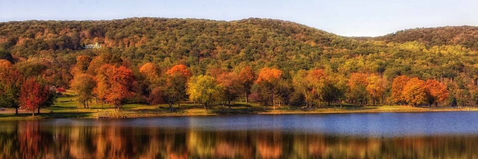 forêt d'érables multicolore du Québec en automne pour la seaine des couleurs de l'été indien
